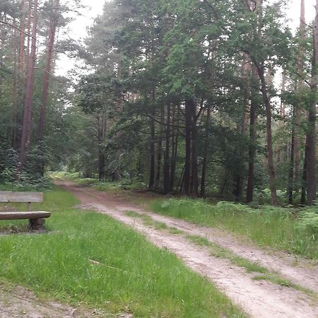 Apartament Auf Dem Hufen Ribnitz-Damgarten Zewnętrze zdjęcie