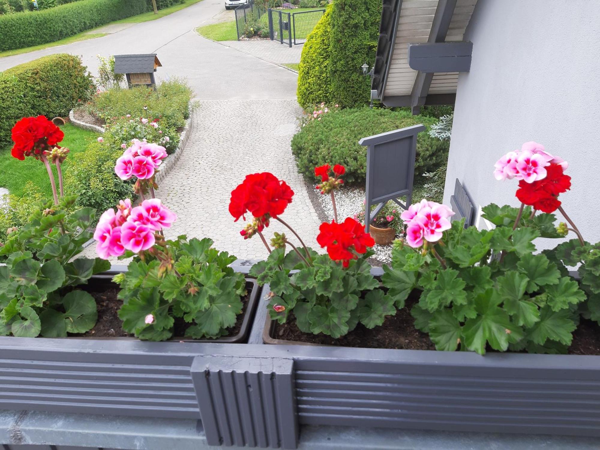 Apartament Auf Dem Hufen Ribnitz-Damgarten Zewnętrze zdjęcie